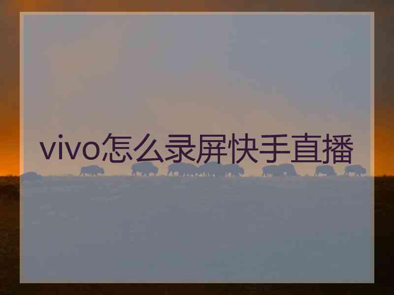 vivo怎么录屏快手直播