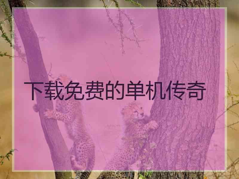 下载免费的单机传奇