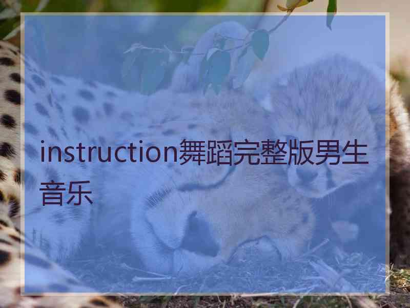 instruction舞蹈完整版男生音乐