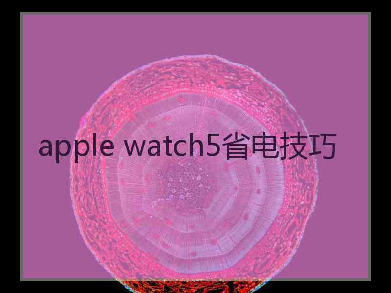 apple watch5省电技巧