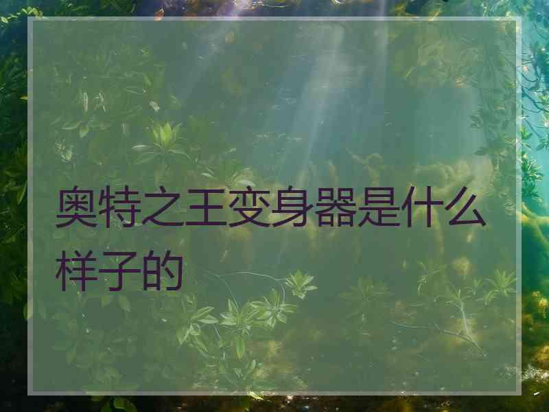 奥特之王变身器是什么样子的