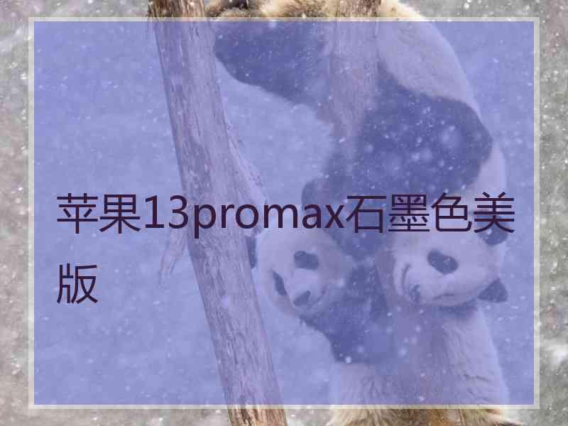 苹果13promax石墨色美版