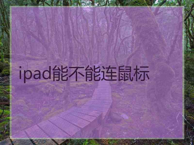 ipad能不能连鼠标