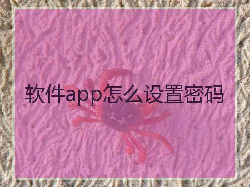 软件app怎么设置密码