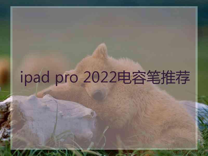 ipad pro 2022电容笔推荐