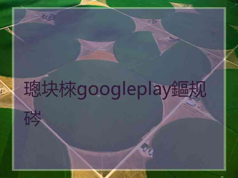 璁块棶googleplay鏂规硶