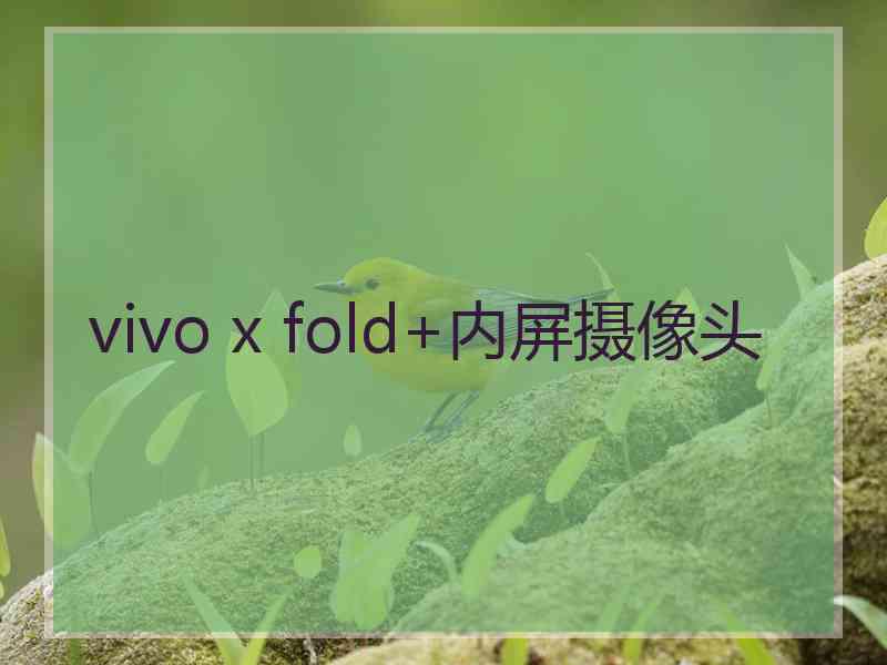 vivo x fold+内屏摄像头