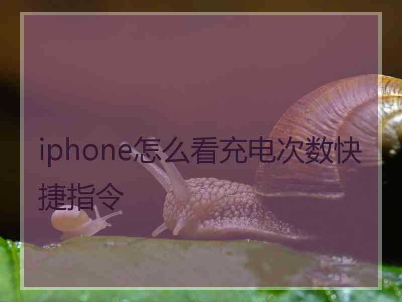 iphone怎么看充电次数快捷指令