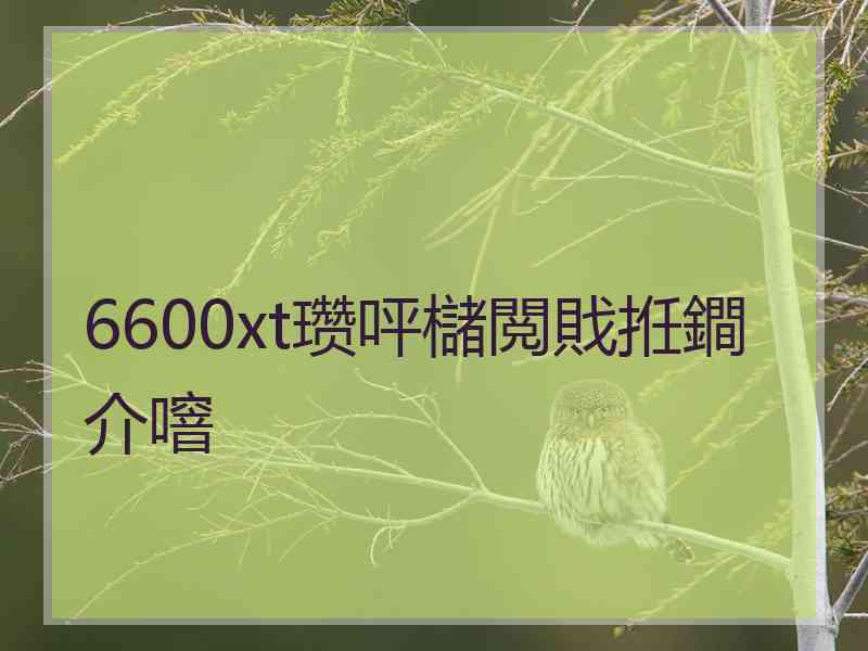 6600xt瓒呯櫧閲戝拰鐧介噾