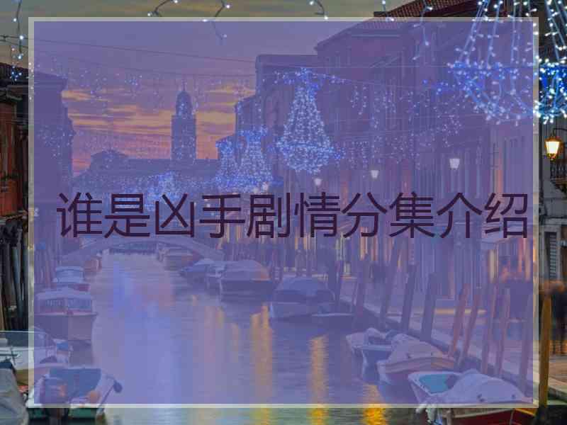 谁是凶手剧情分集介绍