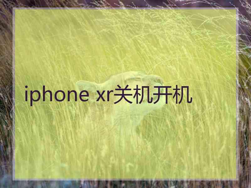 iphone xr关机开机