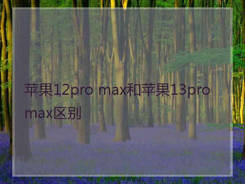 苹果12pro max和苹果13pro max区别