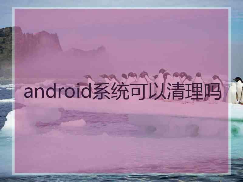 android系统可以清理吗