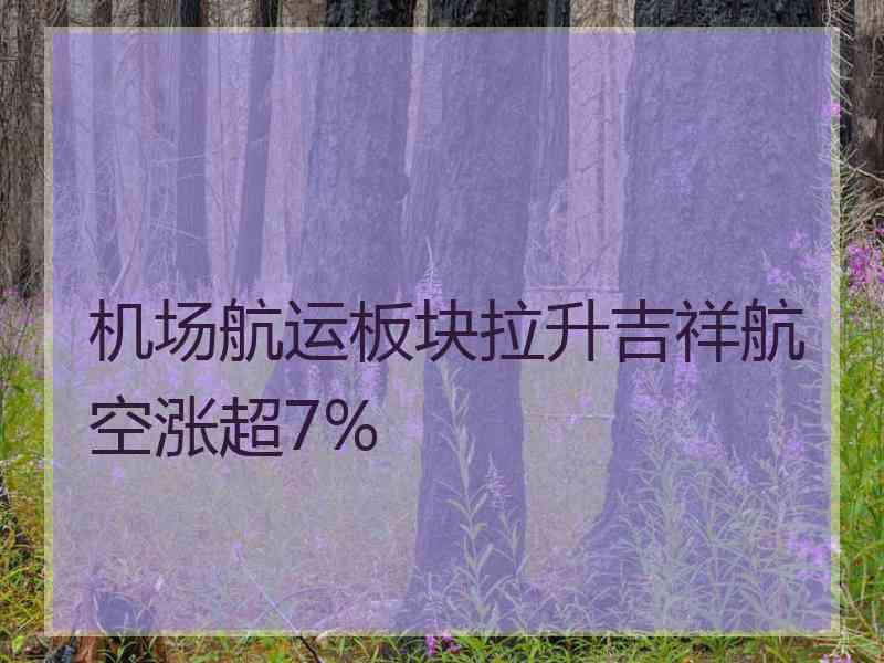 机场航运板块拉升吉祥航空涨超7%