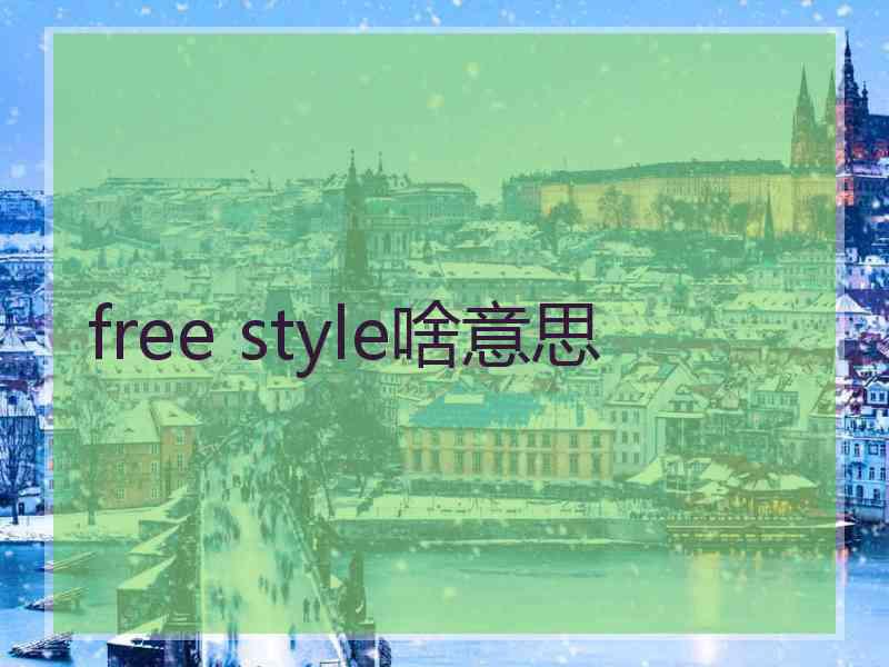 free style啥意思