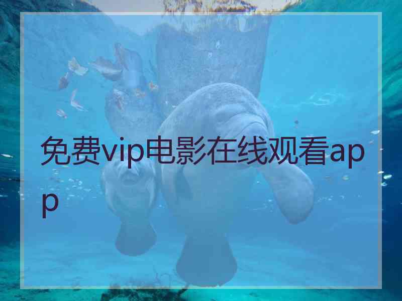 免费vip电影在线观看app