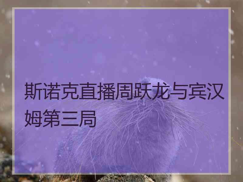 斯诺克直播周跃龙与宾汉姆第三局