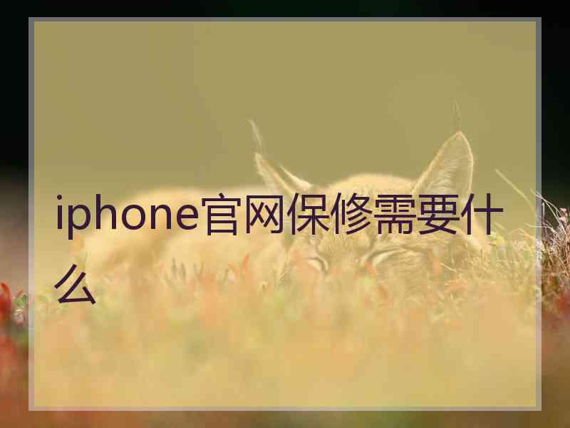 iphone官网保修需要什么