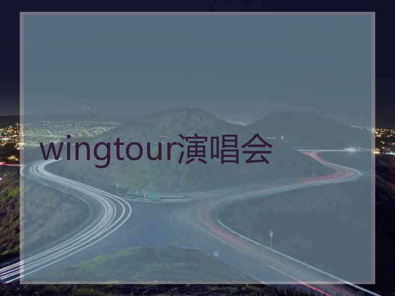 wingtour演唱会