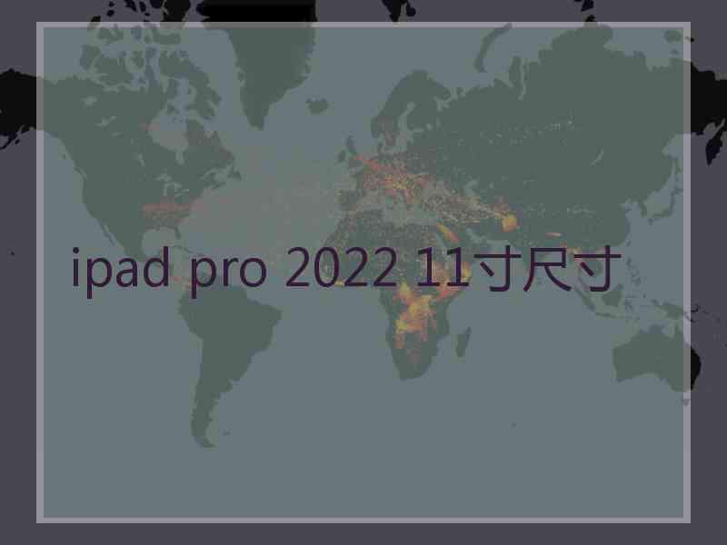 ipad pro 2022 11寸尺寸