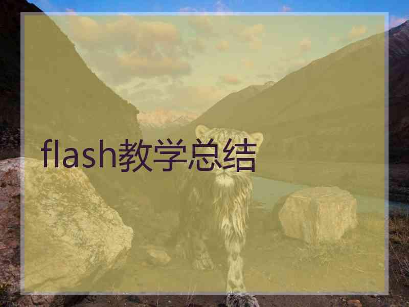 flash教学总结