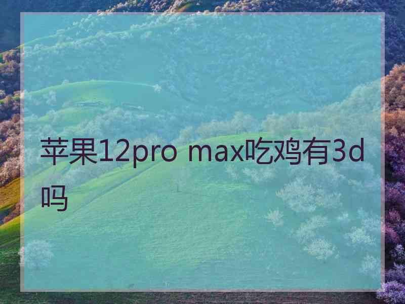 苹果12pro max吃鸡有3d吗