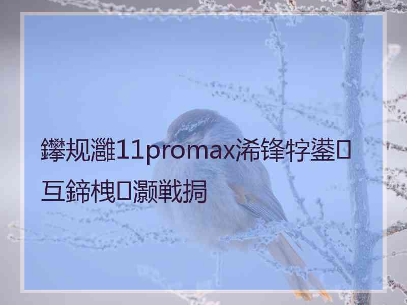 鑻规灉11promax浠锋牸鍙互鍗栧灏戦挶