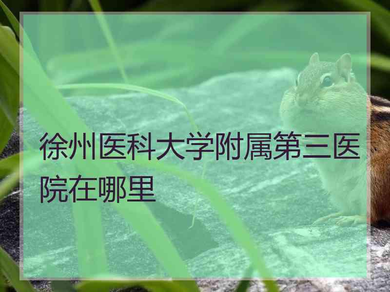 徐州医科大学附属第三医院在哪里