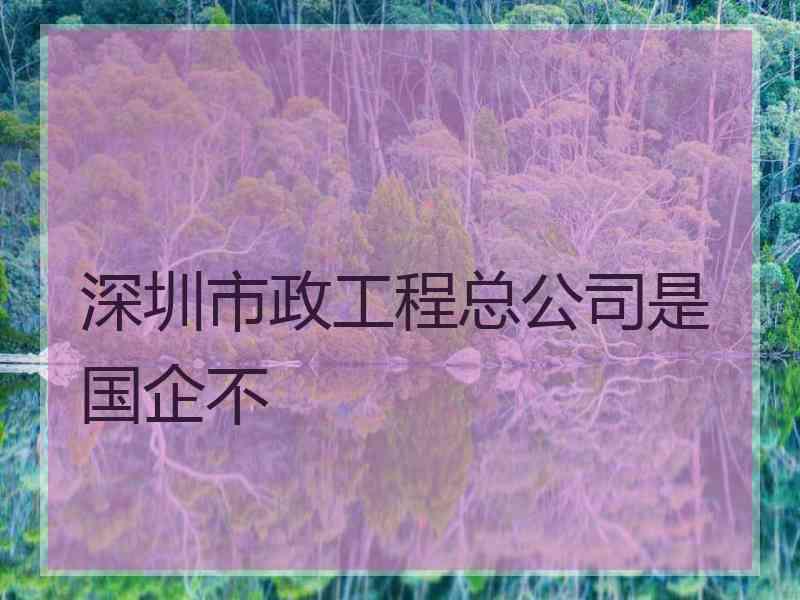 深圳市政工程总公司是国企不