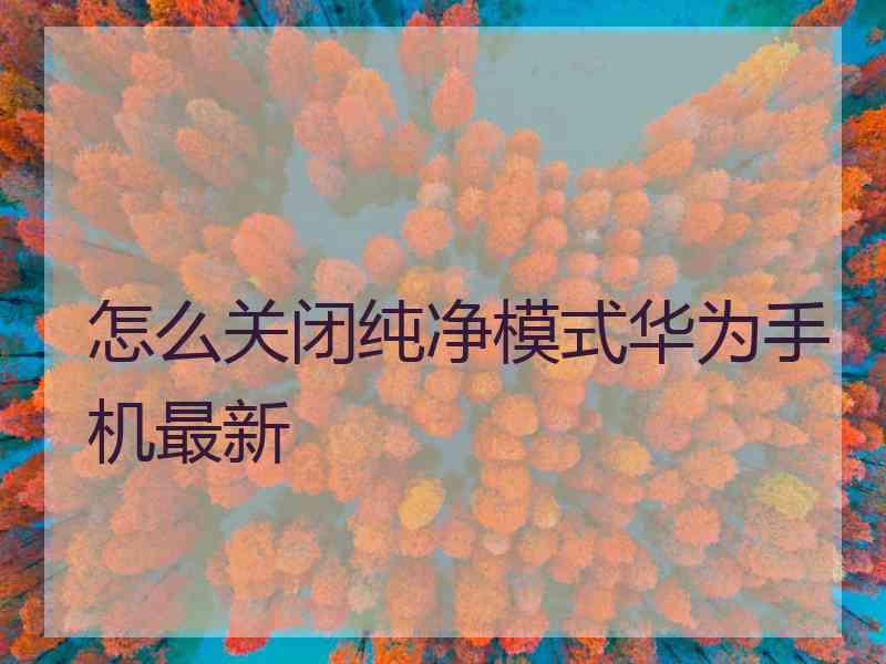 怎么关闭纯净模式华为手机最新