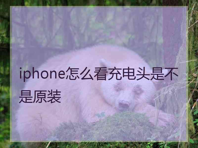 iphone怎么看充电头是不是原装