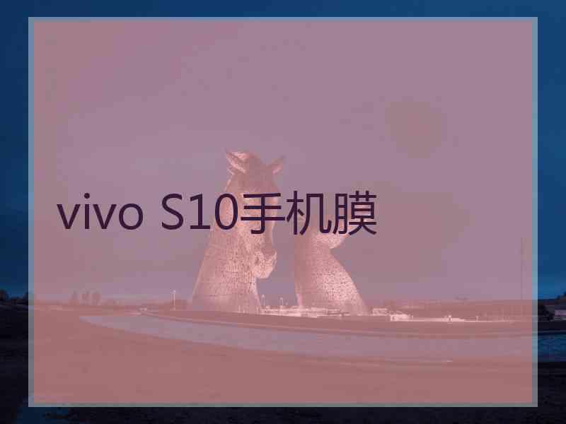 vivo S10手机膜