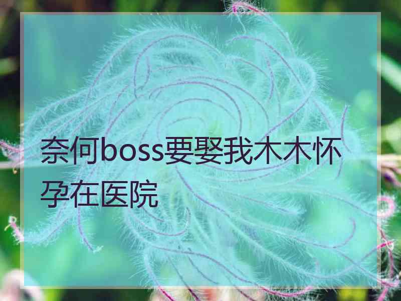 奈何boss要娶我木木怀孕在医院