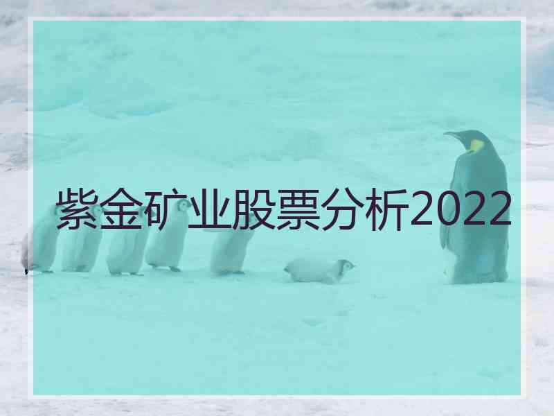 紫金矿业股票分析2022