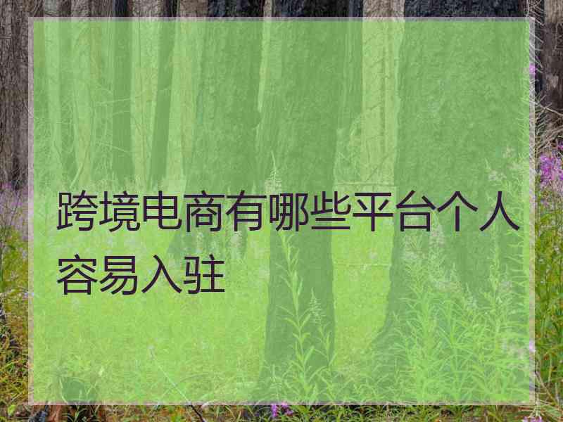 跨境电商有哪些平台个人容易入驻