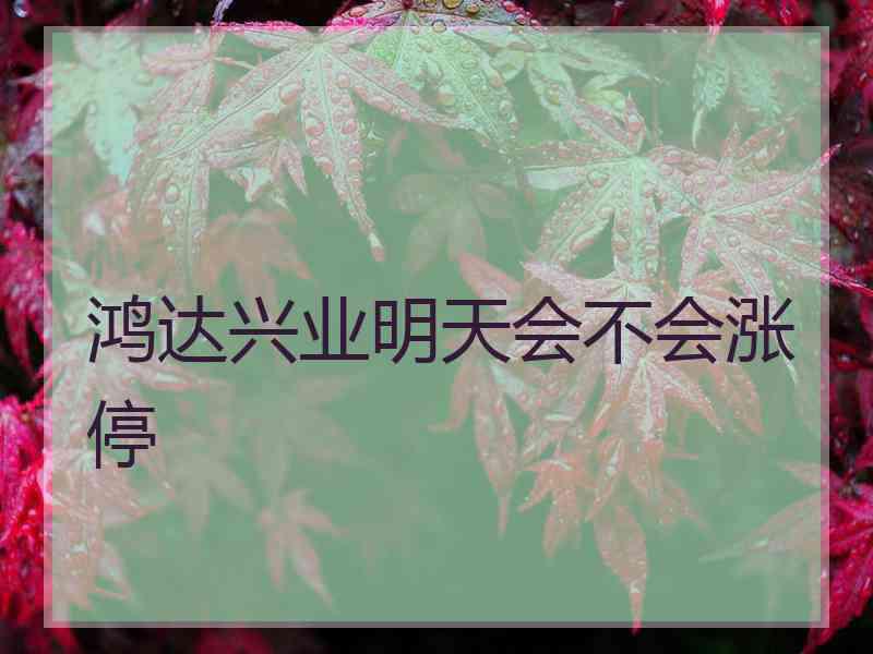 鸿达兴业明天会不会涨停