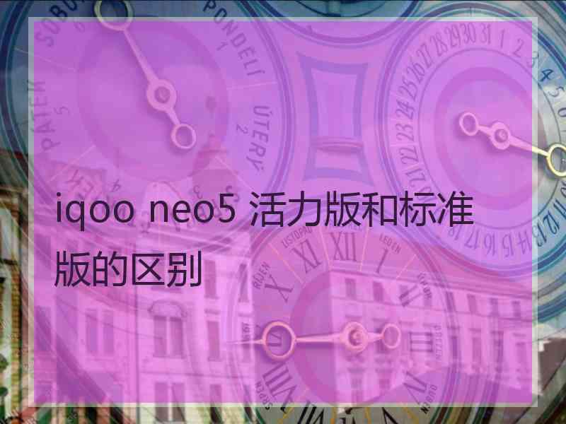 iqoo neo5 活力版和标准版的区别