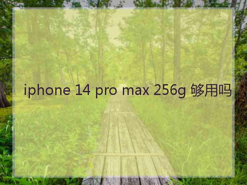 iphone 14 pro max 256g 够用吗