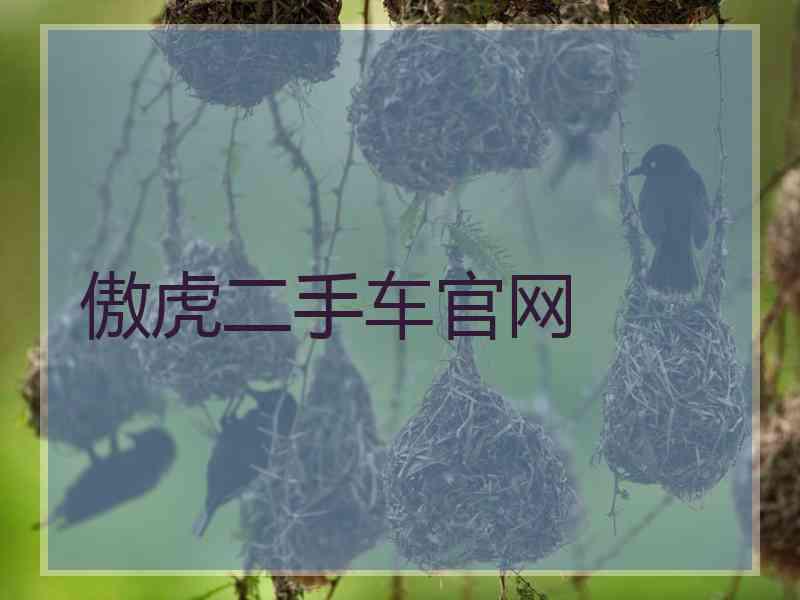 傲虎二手车官网