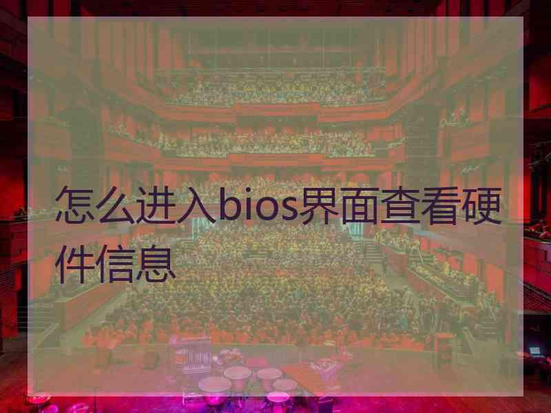 怎么进入bios界面查看硬件信息