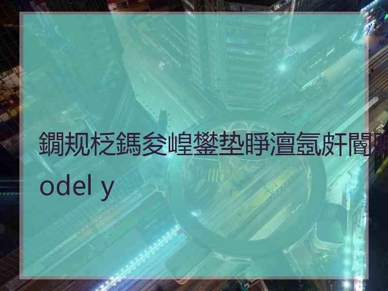 鐗规柉鎷夋崲鐢垫睜澶氬皯閽眒odel y