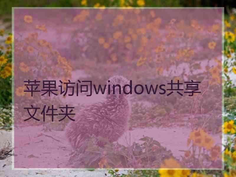 苹果访问windows共享文件夹