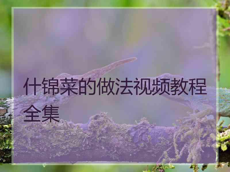 什锦菜的做法视频教程全集