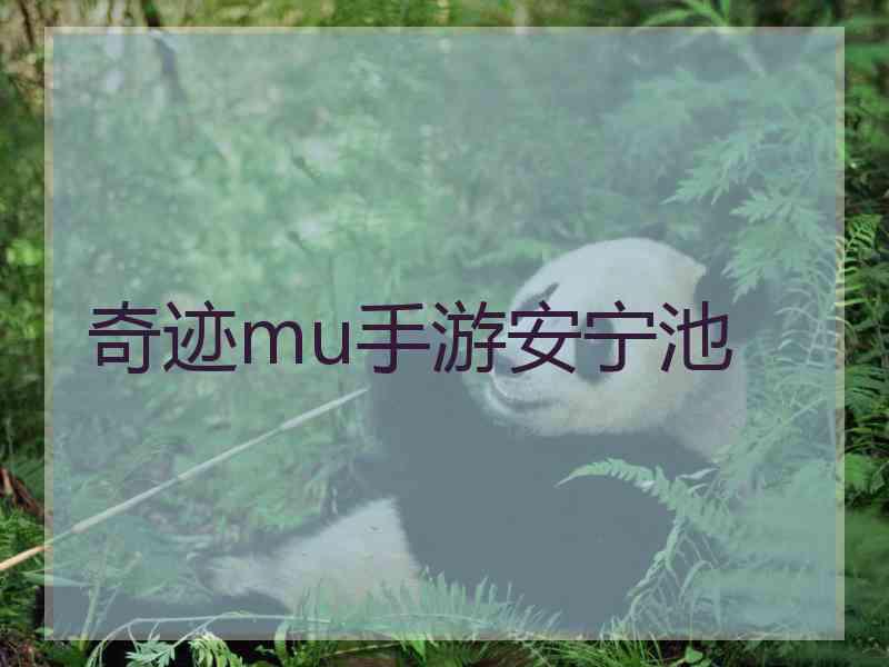 奇迹mu手游安宁池