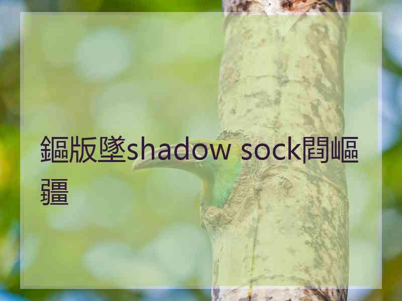 鏂版墜shadow sock閰嶇疆