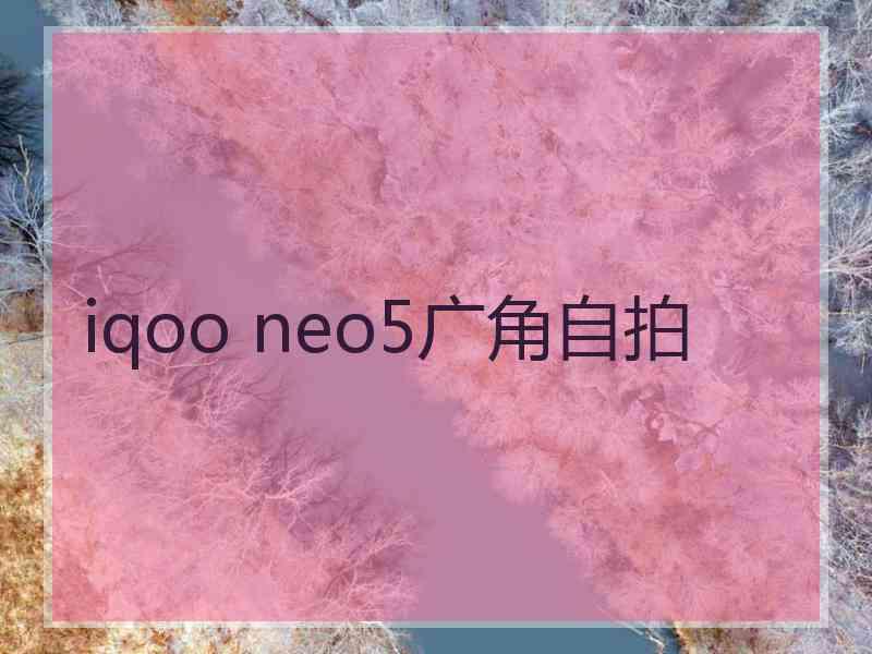 iqoo neo5广角自拍