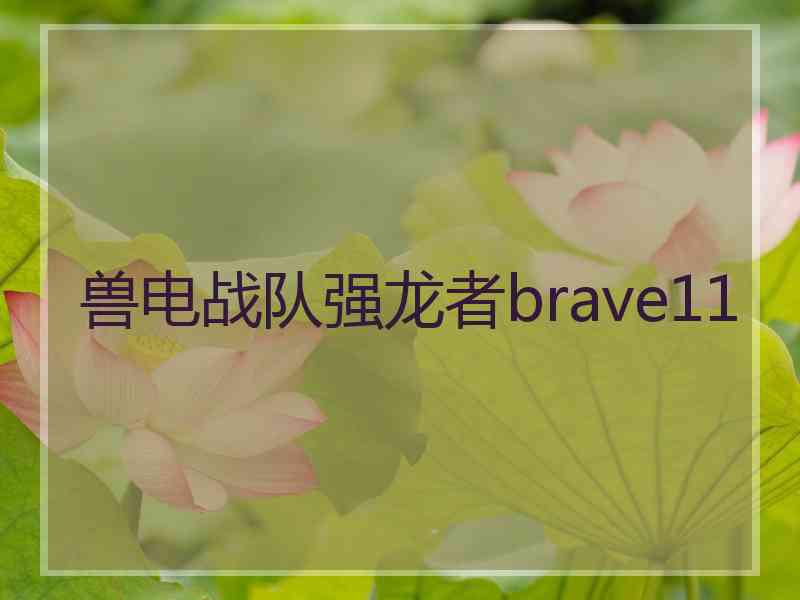 兽电战队强龙者brave11