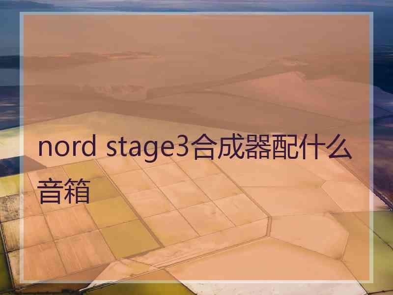 nord stage3合成器配什么音箱