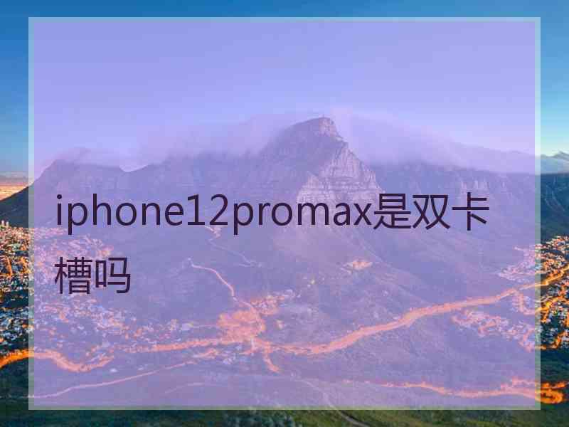 iphone12promax是双卡槽吗