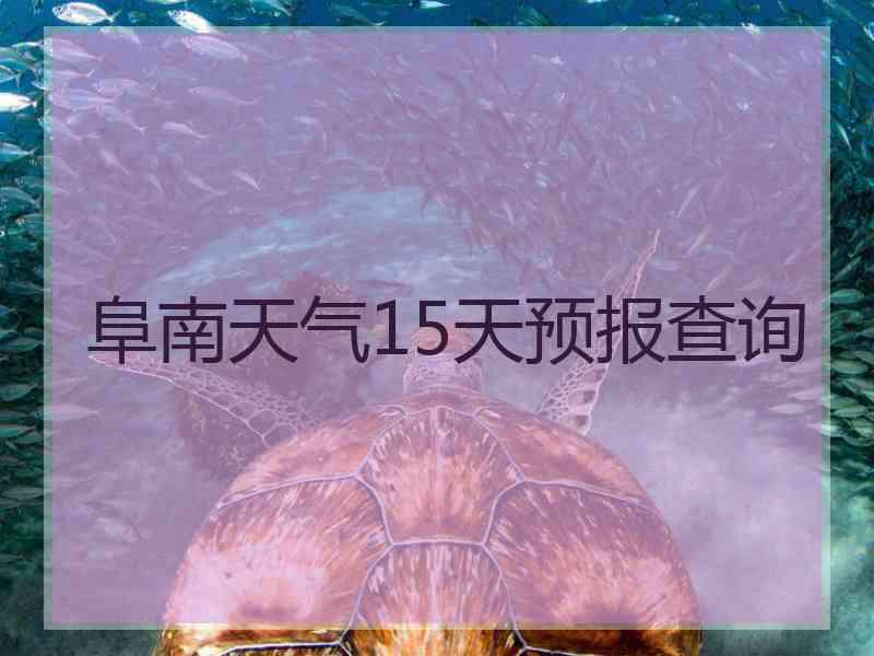 阜南天气15天预报查询